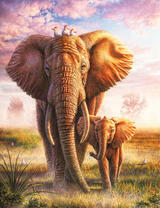 Слониха и слоненок на прогулке