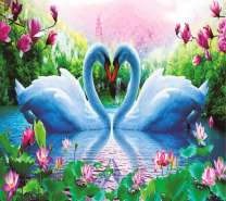 Лебеди на озере в окружении магнолий и лотосов