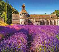 Поле лаванды перед крепостью