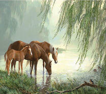 Семья лошадей в тумане под ивой