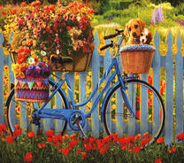 Два щенка в корзинке велосипеда