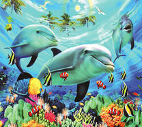 Дельфины у рифов