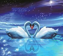 Влюбленные лебеди на фоне звездного неба