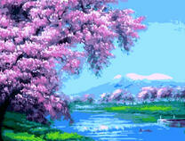 Цветение сакуры над рекой