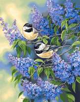 Сирень и птички