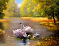 Лебединое семейство на осеннем озере