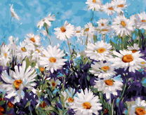 Ромашки на фоне голубого неба