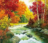 Бурный ручей в осеннем лесу