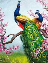 Пара павлинов на весеннем дереве