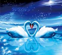 Звёздное небо над озером с лебедями