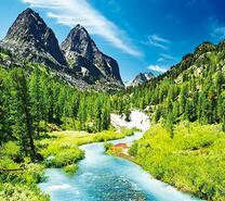 Стремительная река в горном лесу