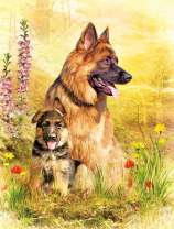 Щенок овчарки с мамой на прогулке