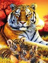 Тигрица с двумя тигрятами