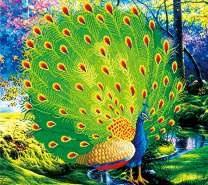 Яркая весна и красочный павлин