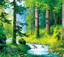 Большой ручей в сосновом бору