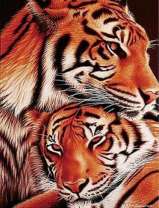 Любящая семья тигров