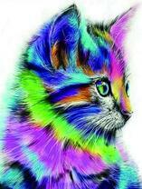 Пушистый котик в ярких красках