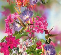 Колибри у весенних цветов