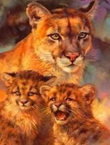 Пума с котятами