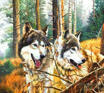 Два волка в осеннем лесу