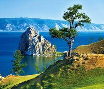 Дерево и скала на озере