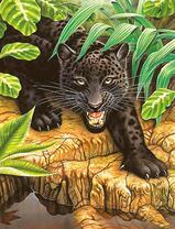 Черный леопард в тропической зелени