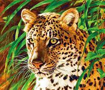 Ягуар в тропической зелени