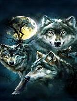 Волки в темной ночи под полной луной