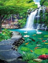 Лебеди и карпы кои на озере с водопадом