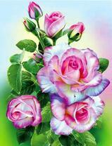 Нежные цветущие розы с капельками росы