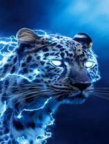 Леопард с молниями в глазах