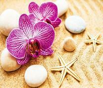 Орхидеи, морские звезды и гладкие камни