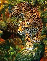 Грациозный леопард на охоте