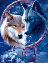 Волк с волчицей в ночи