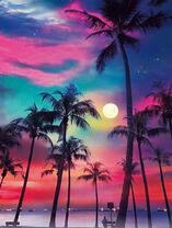 Полная луна над тропическим пляжем с пальмами