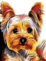 Милый йоркширский терьер