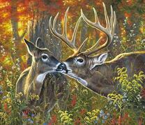 Милые олени в густом осеннем лесу