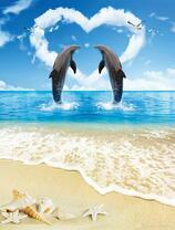 Пара дельфинов, сердечко и чайки