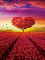 Дерево сердцем и поле красных тюльпанов