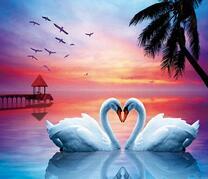 Пара лебедей под пальмой и хижина в море