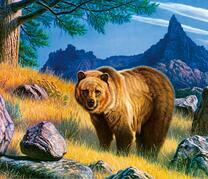 Большой бурый медведь на фоне гор