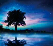 Ночной туман и дерево у реки