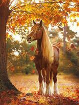 Длинногривая лошадка под осенним деревом