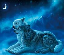 Пушистые волки в горах под луной