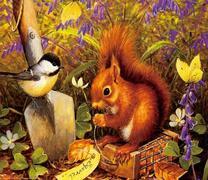 Белочка и синичка на осенней грядке