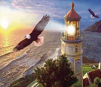 Пара орланов у маяка над морем