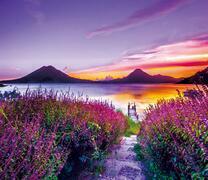 Дорожка к озеру через цветущие кусты