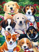 Милые щеночки разных пород