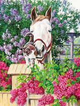 Дружба лошади и кота среди цветов