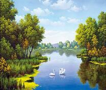 Лебеди на озере